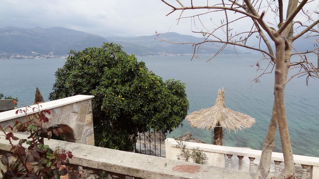 Bureau sur la Luštica, Monténégro, 370 m² - image 6