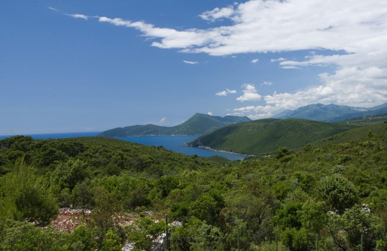 Grundstück in Halbinsel Luštica, Montenegro, 3 800 m² - Foto 6