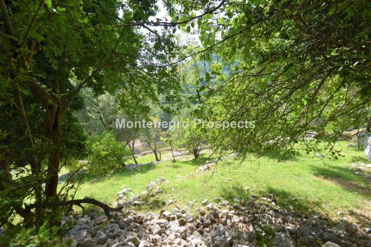 Terreno a Risan, Montenegro, 5 924 m2 - foto 8