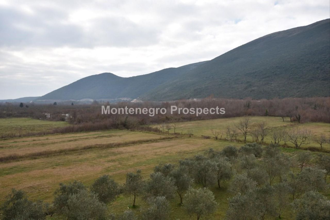 Grundstück in Lastva, Montenegro, 7 658 m² - Foto 8