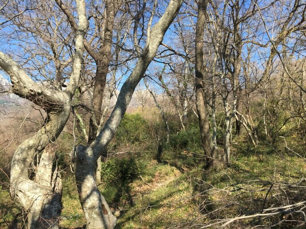 Terreno en el Bar, Montenegro, 1 228 m² - imagen 9