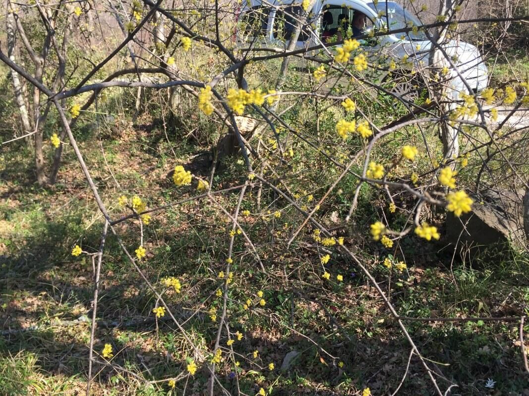 Terreno en el Bar, Montenegro, 1 228 m² - imagen 11