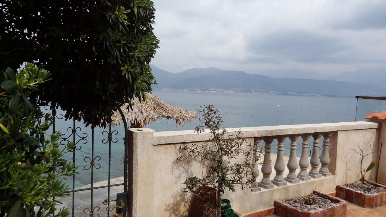 Bureau sur la Luštica, Monténégro, 370 m² - image 8