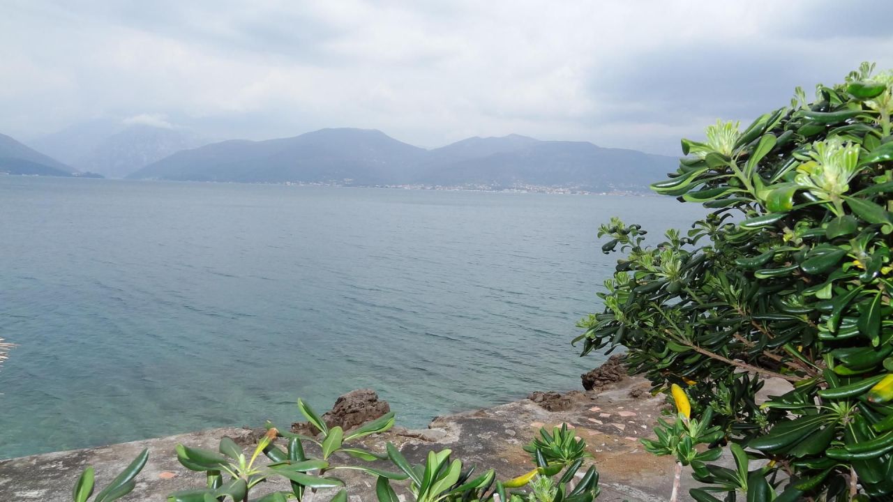 Bureau sur la Luštica, Monténégro, 370 m² - image 9