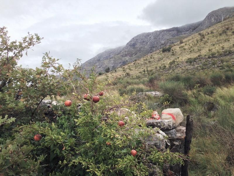 Terreno en Rezevici, Montenegro, 1 048 m² - imagen 14