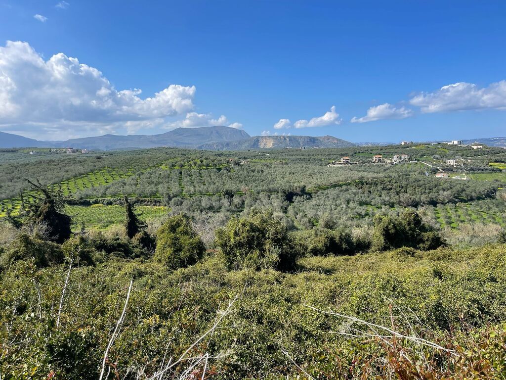 Land in Heraklion, Greece, 6 350 m² - picture 3