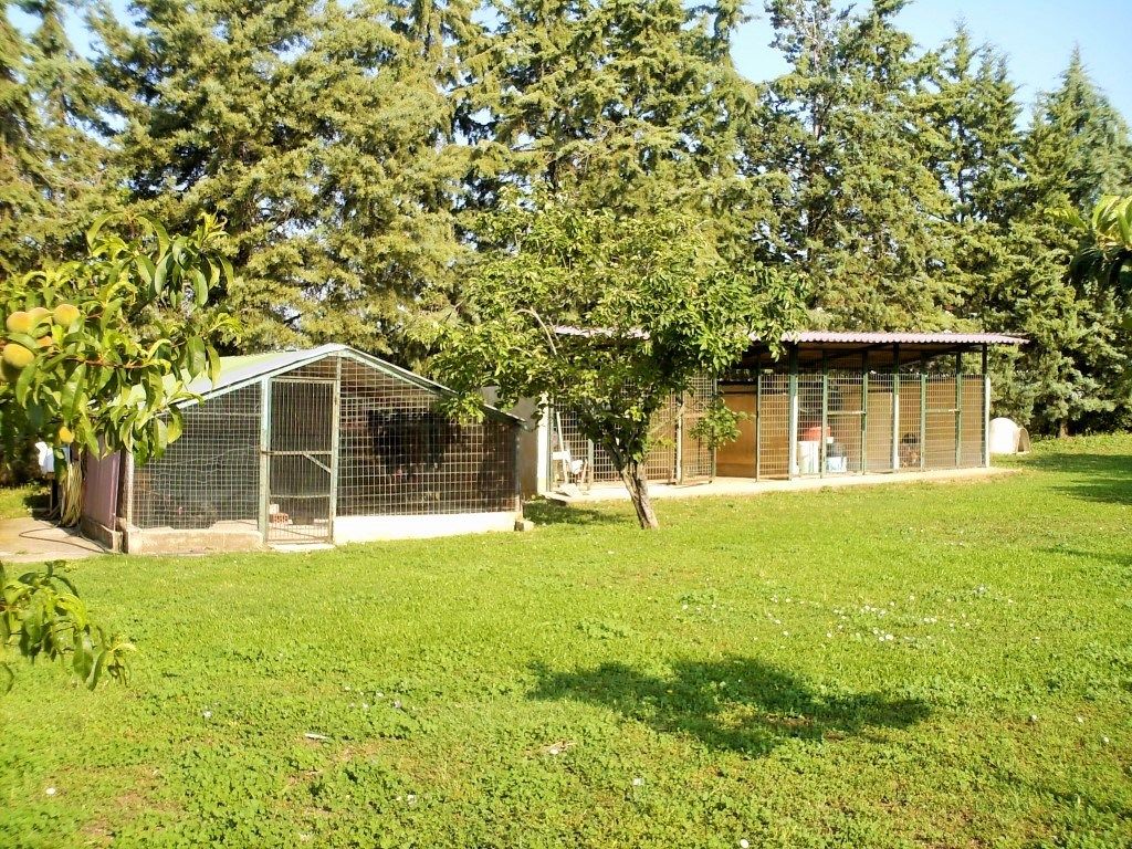 Cottage à Thessalonique, Grèce, 90 m² - image 18