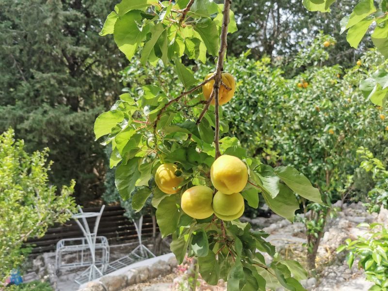 Villa à Kamares, Chypre, 350 m² - image 2