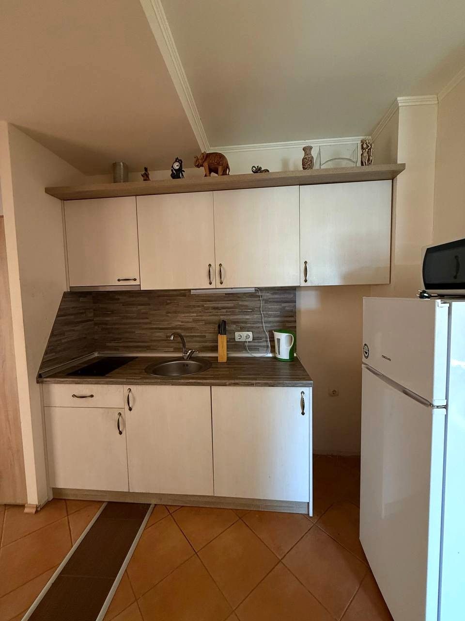 Wohnung in Elenite, Bulgarien, 120 m² - Foto 4