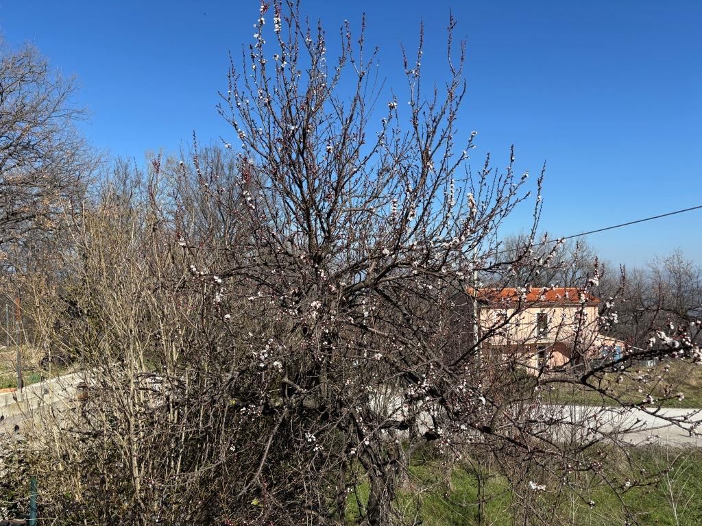 Maison à Pescara, Italie, 240 m² - image 17