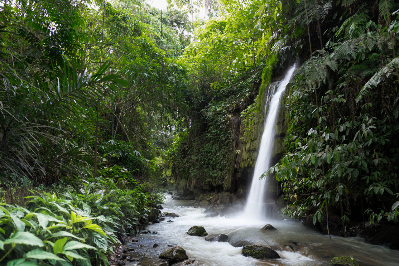 Villa in Ubud, Indonesia, 121 m² - picture 7