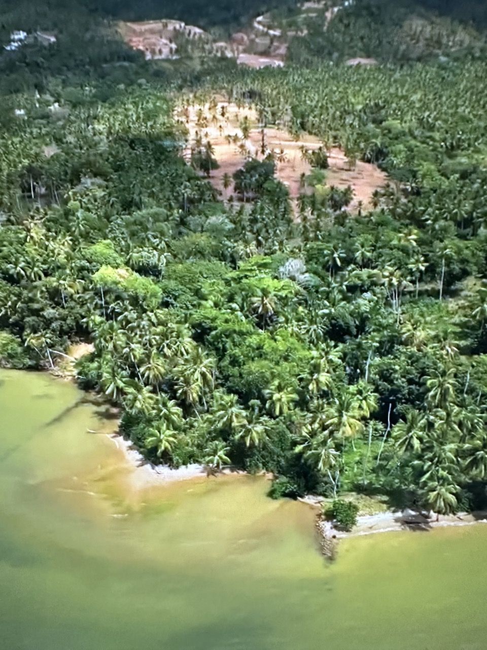 Terrain à Samaná, République dominicaine, 290 m² - image 2