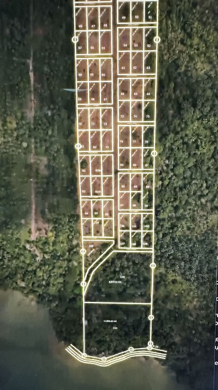 Terrain à Samaná, République dominicaine, 290 m² - image 4