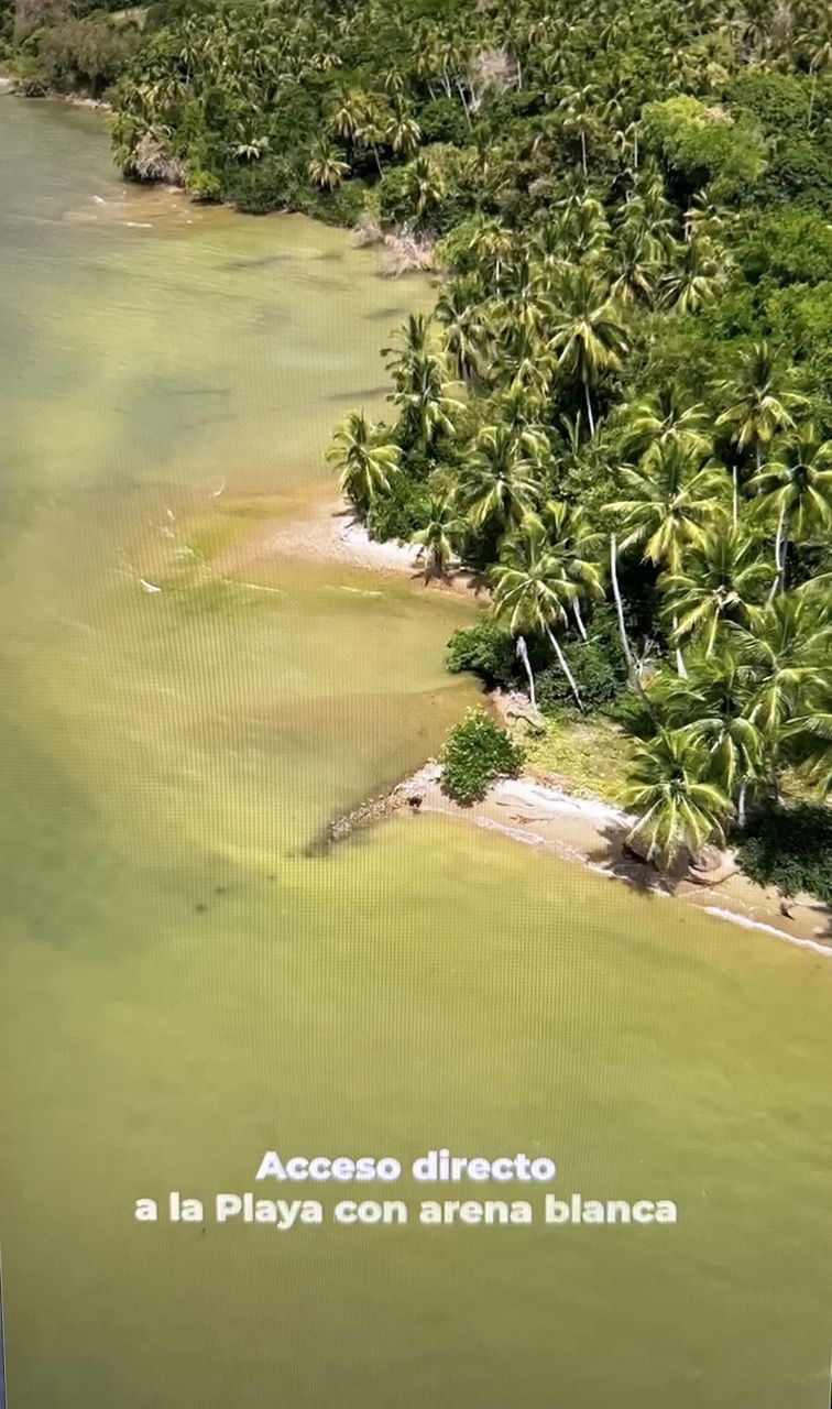 Terrain à Samaná, République dominicaine, 290 m² - image 5