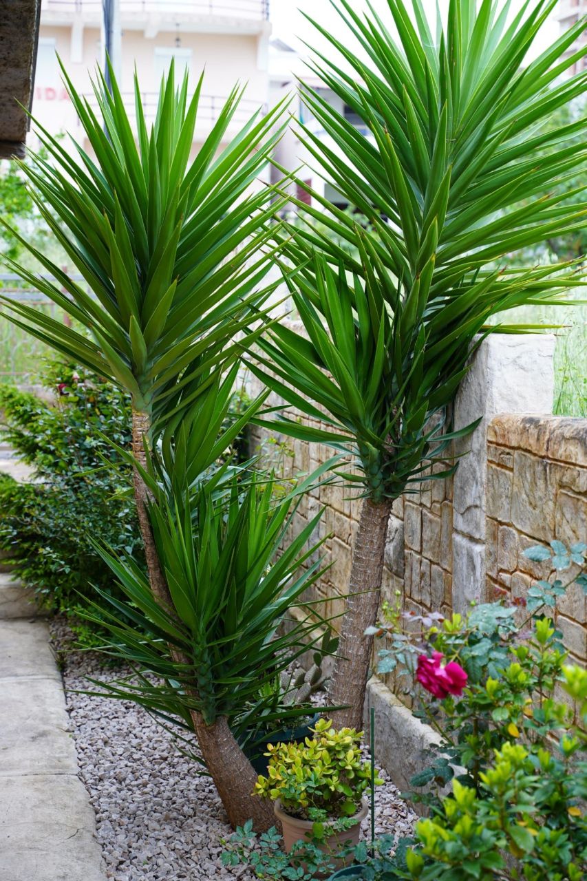 Maison à Dobra Voda, Monténégro, 98 m² - image 9