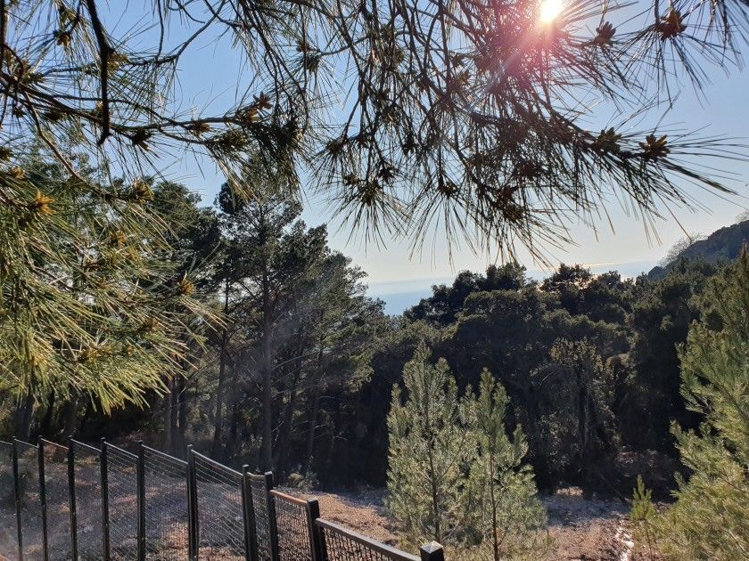 Terrain au Bar, Monténégro, 5 586 m² - image 4