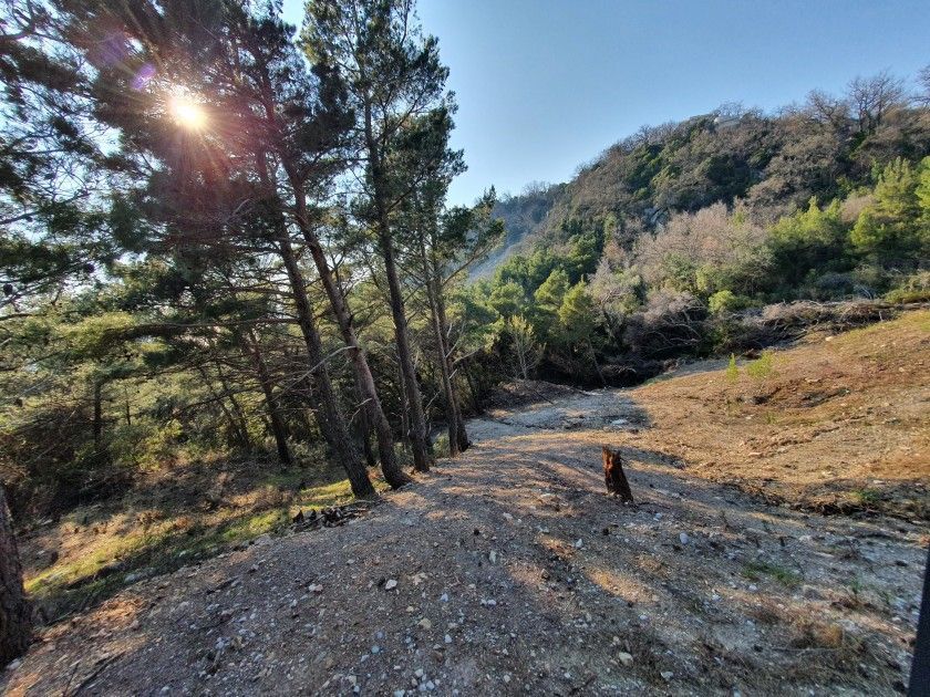 Terrain au Bar, Monténégro, 5 586 m² - image 5