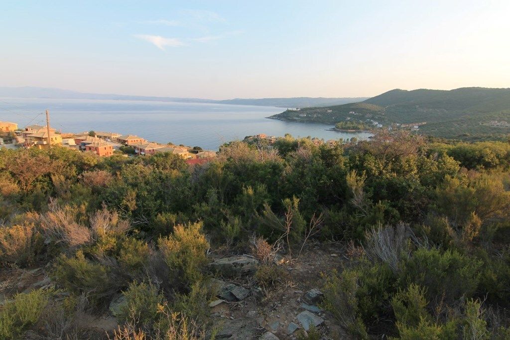 Land in Sithonia, Greece, 9 500 m² - picture 1