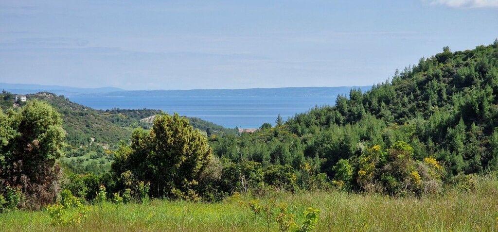 Terreno en Kassandra, Grecia, 10 000 m² - imagen 1