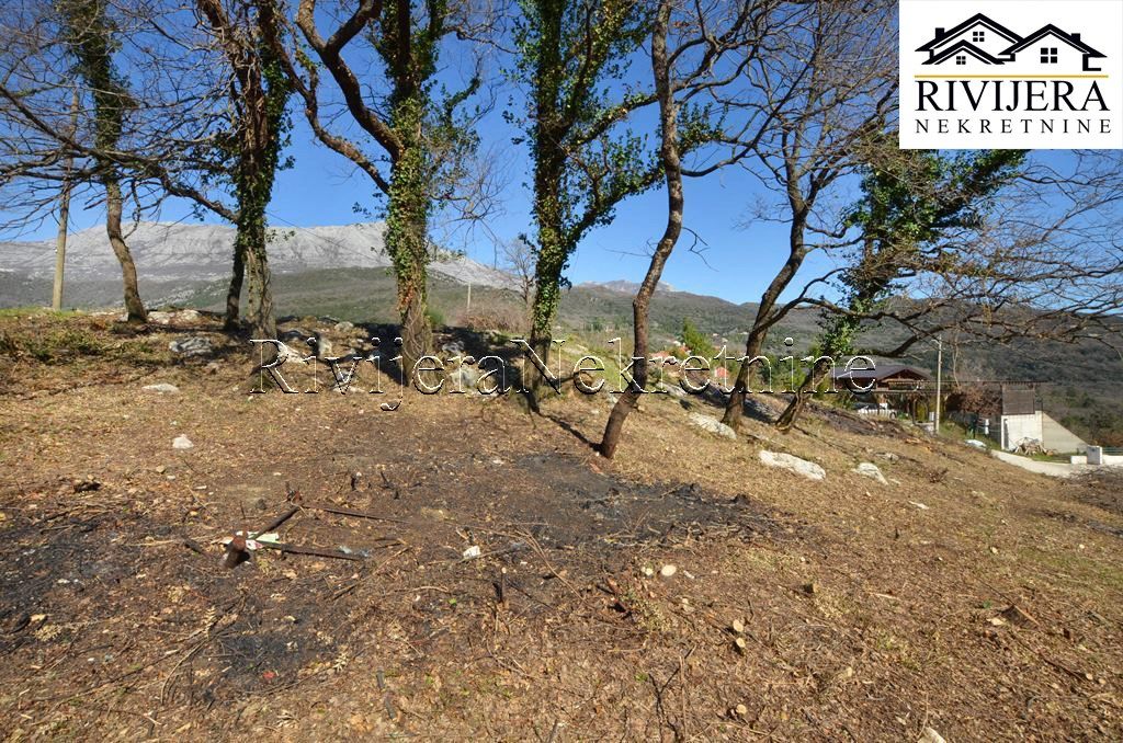 Terrain à Herceg-Novi, Monténégro, 1 482 ares - image 8