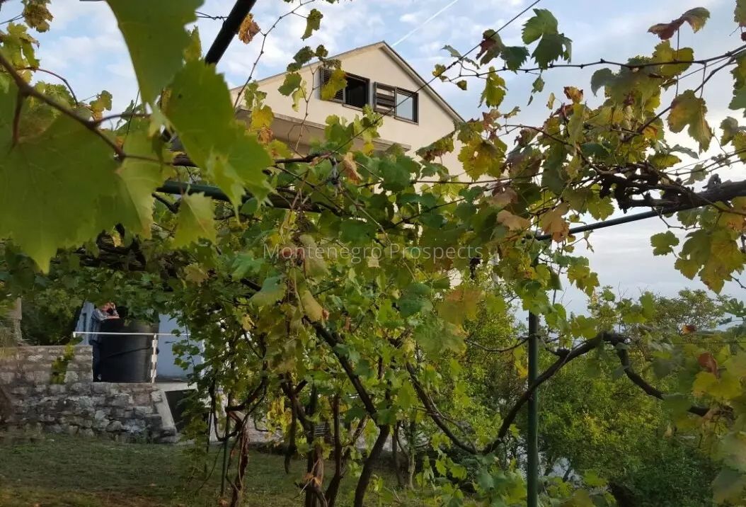 Hôtel à Petrovac, Monténégro, 524 m² - image 4