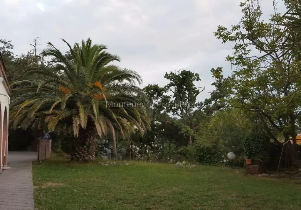 Hôtel à Petrovac, Monténégro, 524 m² - image 5