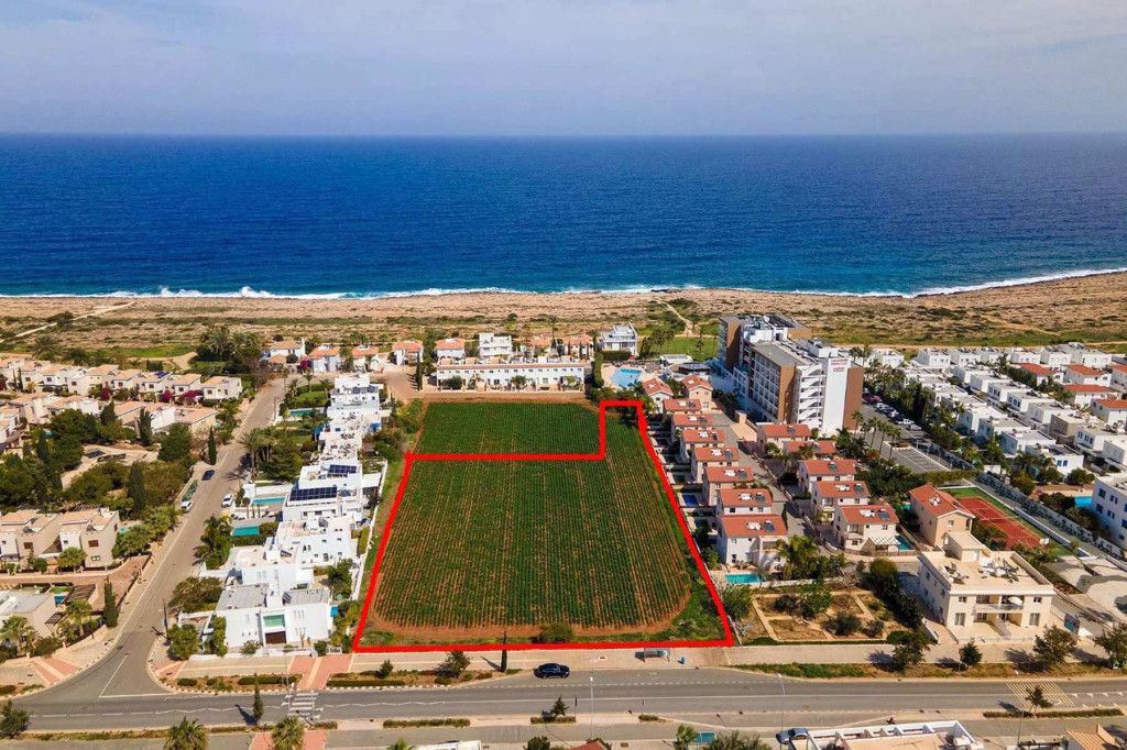 Cafe, restaurant in Protaras, Cyprus - picture 4