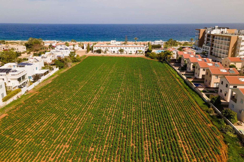 Cafe, restaurant in Protaras, Cyprus - picture 5