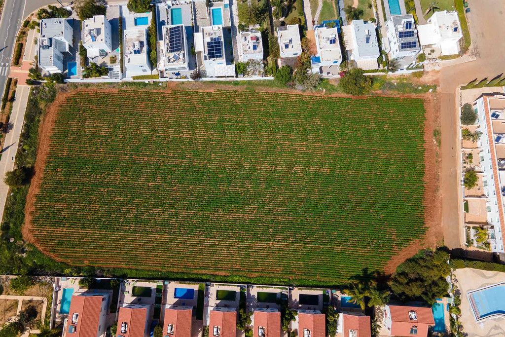 Cafe, restaurant in Protaras, Cyprus - picture 7