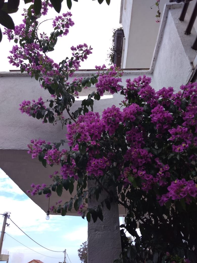 Haus in Utjeha, Montenegro, 199 m² - Foto 5