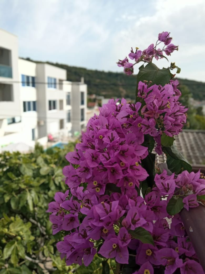 Haus in Utjeha, Montenegro, 199 m² - Foto 8