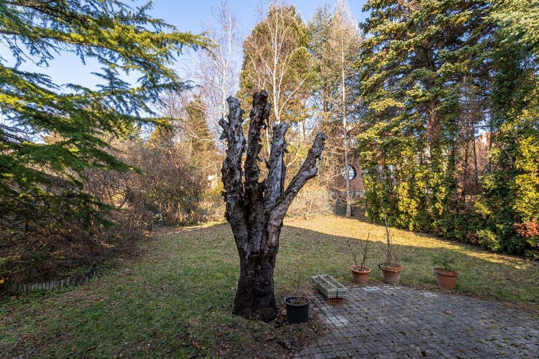 House in Budapest, Hungary, 218 m² - picture 8