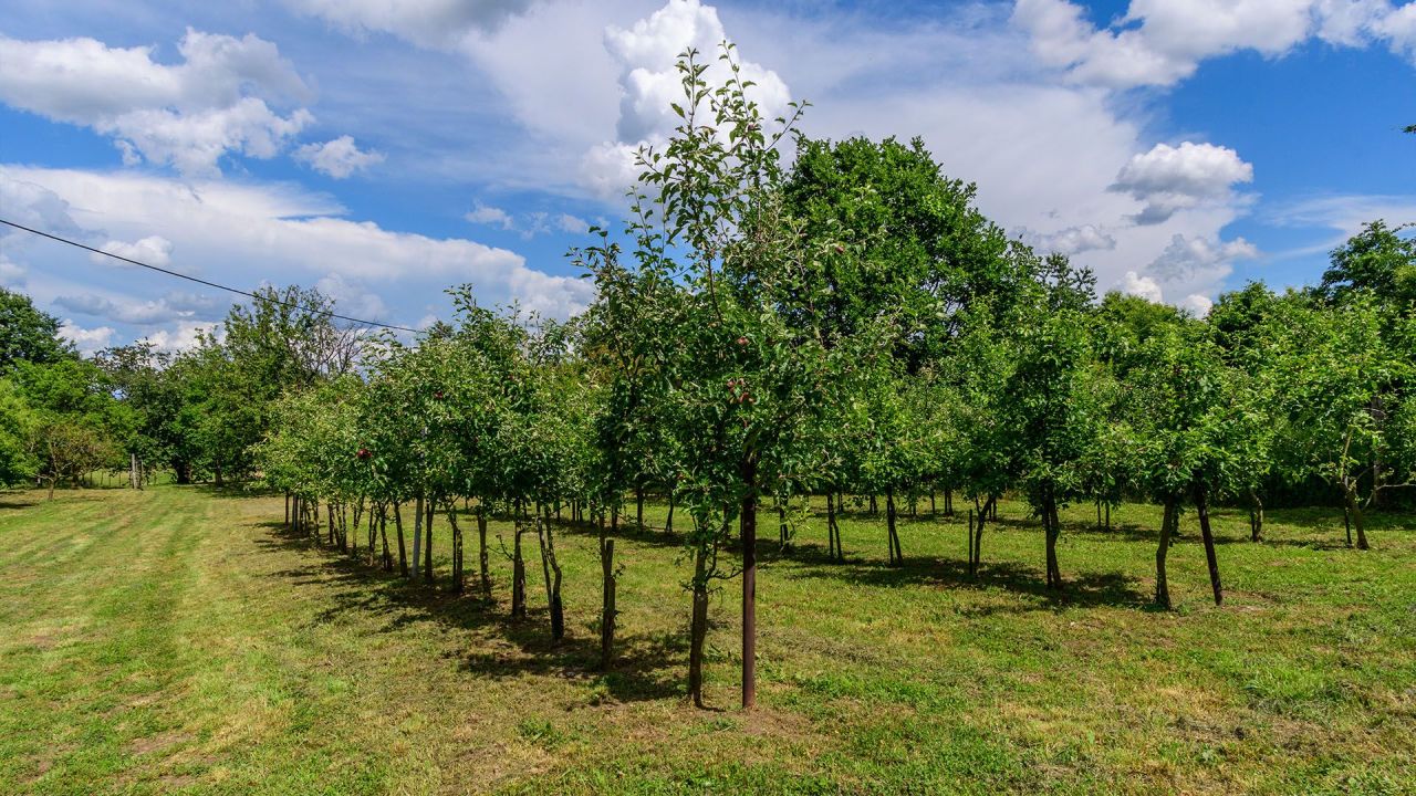 House in Heviz, Hungary, 36 m² - picture 10