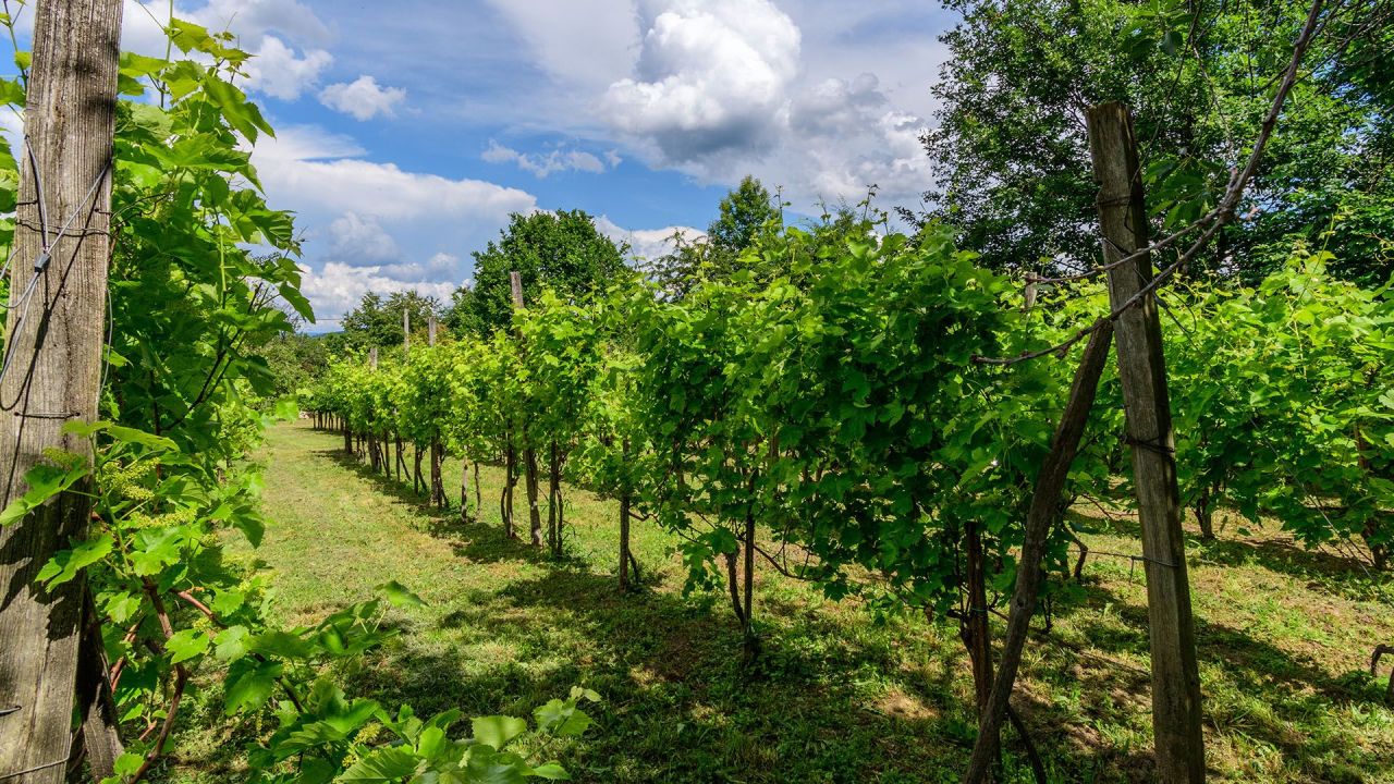House in Heviz, Hungary, 36 m² - picture 8