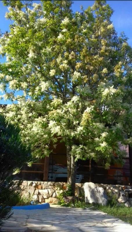 Villa Valtura, Ližnjan, Kroatien, 530 m² - Foto 6