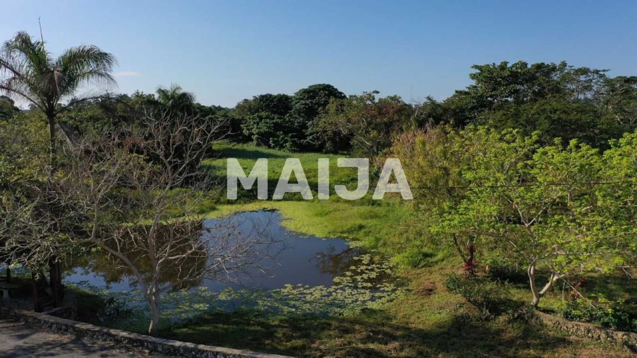 Terrain La Ceiba, République dominicaine, 500 m² - image 18