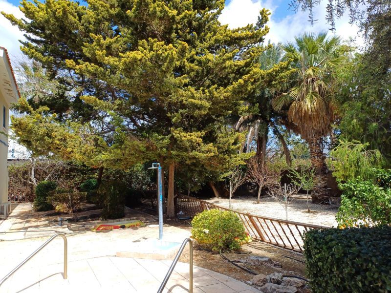 Villa in Paphos, Cyprus, 160 m² - picture 5