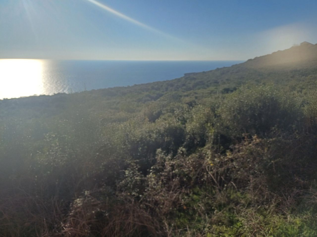 Land in Krimovica, Montenegro, 1 000 m² - picture 5