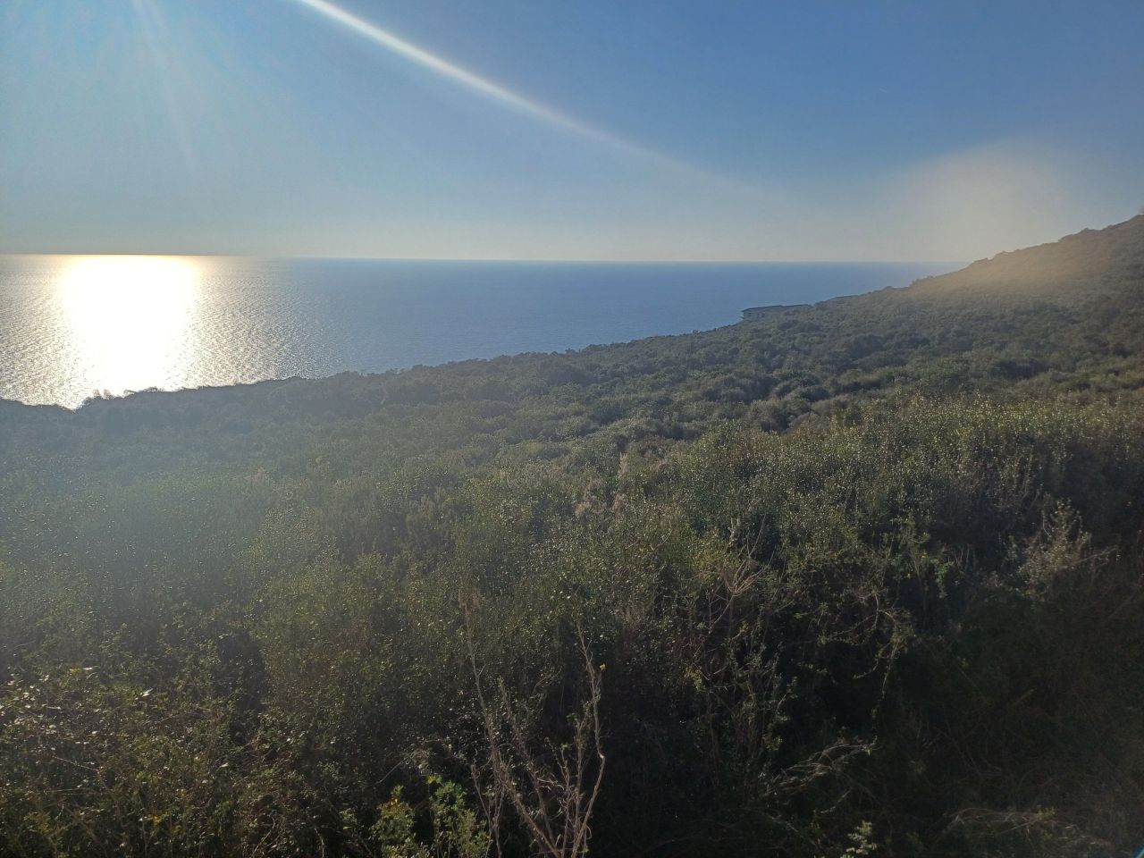 Land in Krimovica, Montenegro, 1 000 m² - picture 2