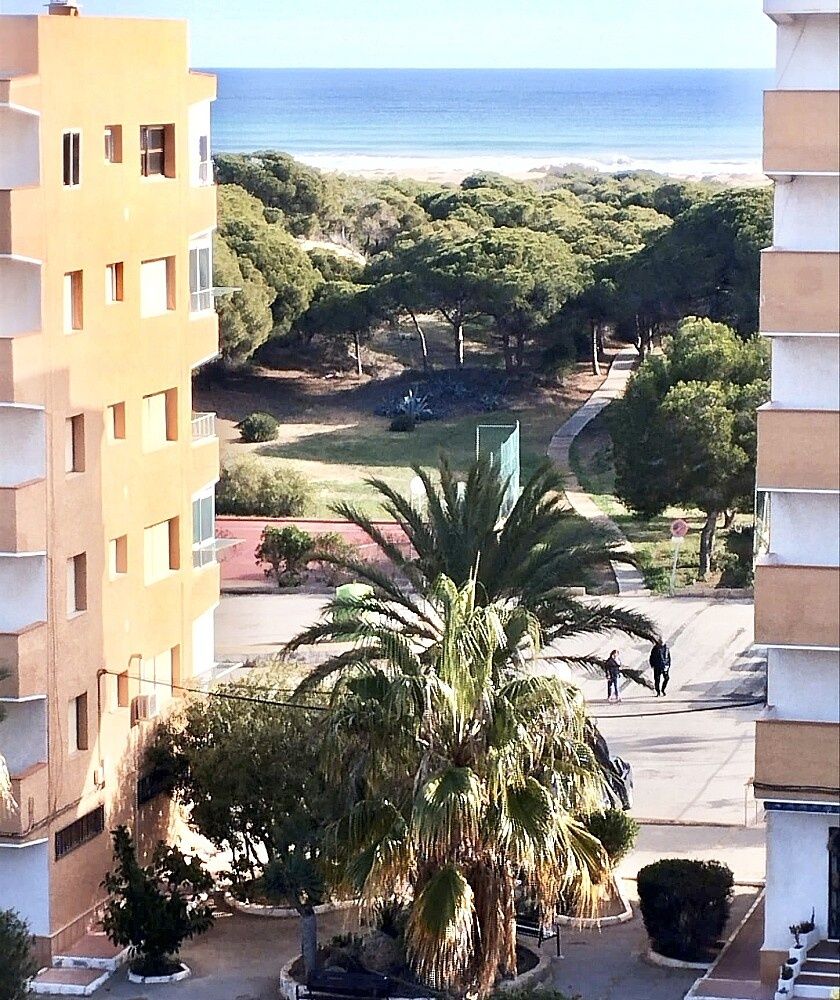 Appartamenti a Guardamar del Segura, Spagna, 42 m² - foto 5