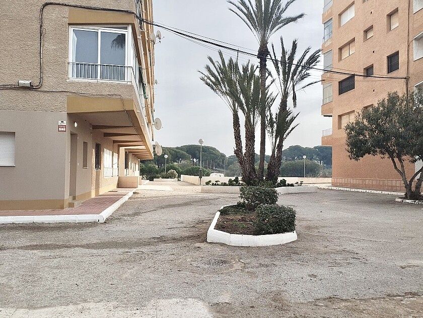 Appartamenti a Guardamar del Segura, Spagna, 42 m² - foto 6