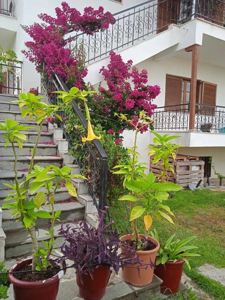 Flat in Chalkidiki, Greece, 100 m² - picture 12