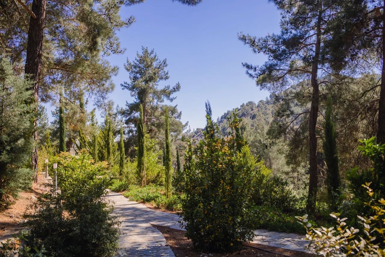 Haus in Moniatis, Zypern, 250 m² - Foto 11