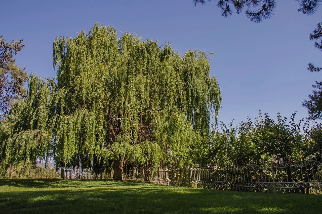 Haus in Moniatis, Zypern, 250 m² - Foto 12