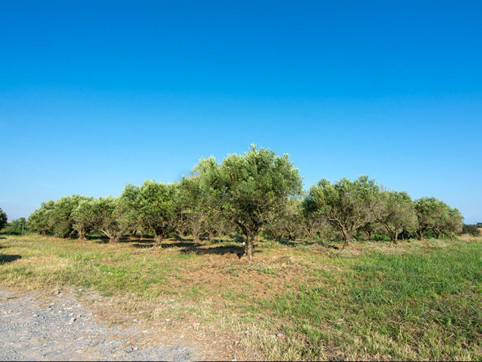 Cottage a Salonicco, Grecia, 199 m² - foto 15