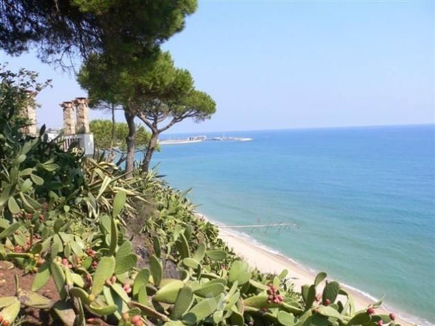 Terreno en Arenys de Mar, España - imagen 1