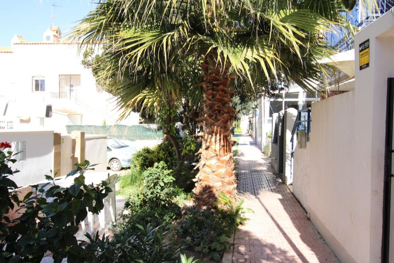 Bungalow a Torrevieja, Spagna, 32 m² - foto 15