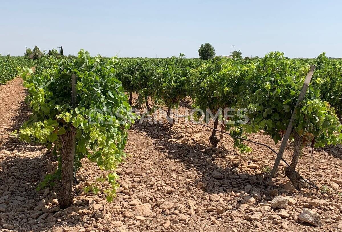 Villa in Yecla, Spain, 748 m² - picture 14