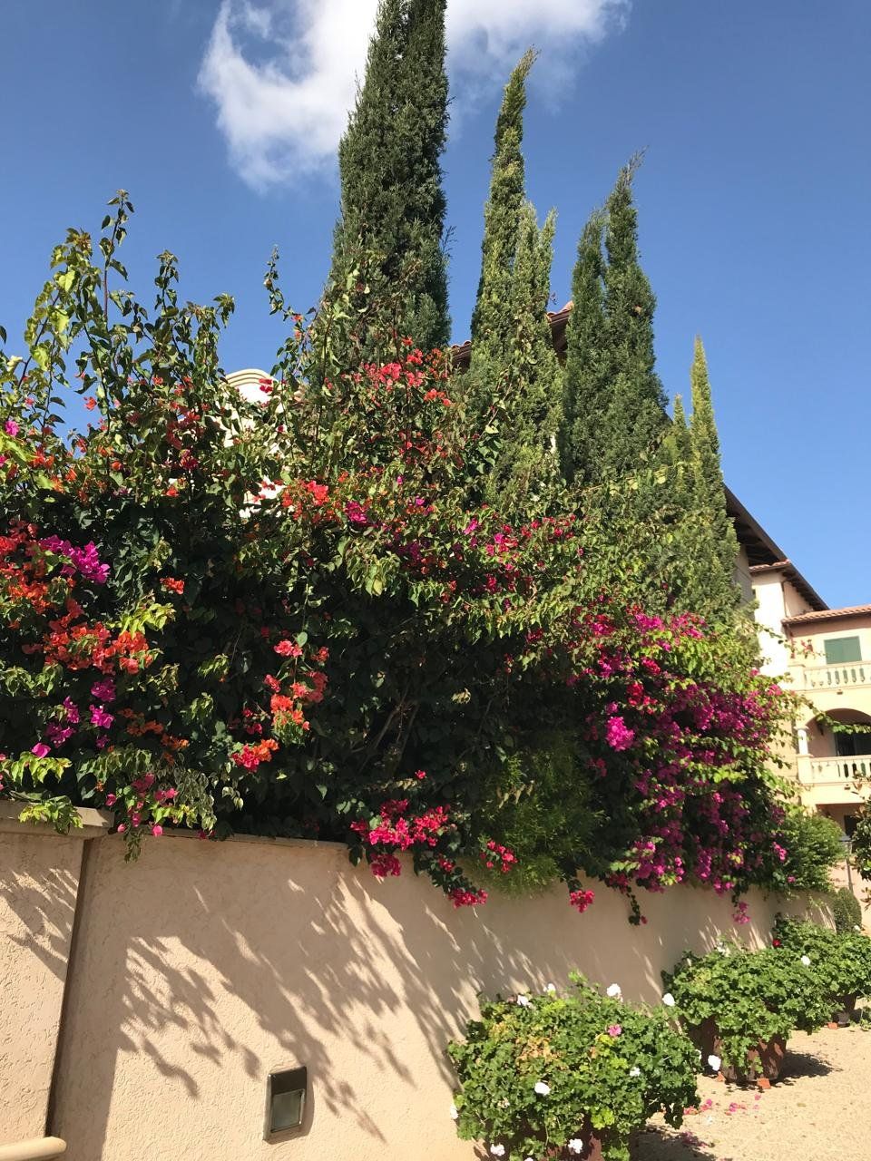 Appartamenti a Limassol, Cipro - foto 13