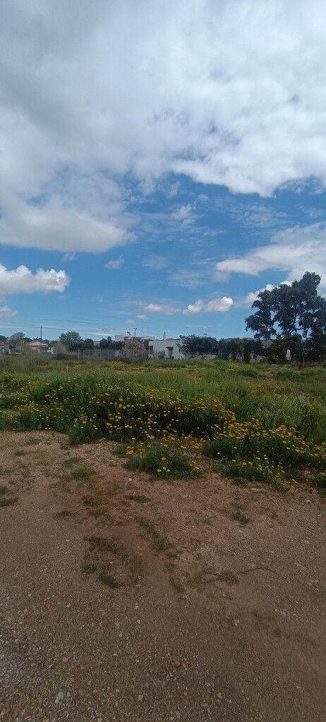 Terrain à Athènes, Grèce, 768 m² - image 3